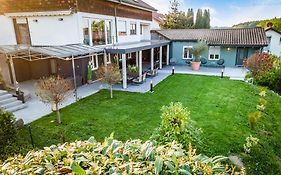 Ferienwohnung Bodenseesuite In Friedrichshafen